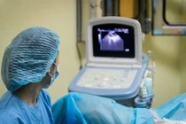 Triệt phá đường dây mang thai hộ xuyên quốc gia