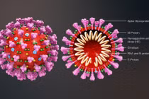 Phê duyệt bổ sung đề tài nghiên cứu thử nghiệm thuốc điều trị Covid-19