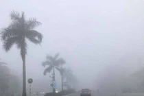 Phân biệt mù và sương mù