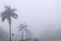 Phân biệt mù và sương mù