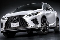 Lexus RX 300 F SPORT.