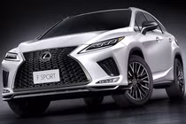 Lexus RX 300 F SPORT.