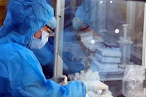 Làm chủ công nghệ giải trình tự gene virus SARS-CoV-2