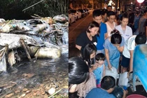 Nước sinh hoạt bốc mùi ở Hà Nội: Đừng để dân thêm lo lắng, bất an!