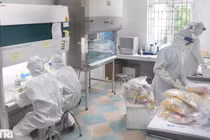 Bộ Y tế công bố thêm 4 bệnh nhân Covid-19 tử vong