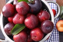 Ăn mận giảm táo bón