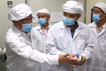 Việt Nam sắp sản xuất được vaccine phòng, chống dịch tả lợn châu Phi