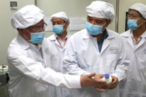 Việt Nam sắp sản xuất được vaccine phòng, chống dịch tả lợn châu Phi