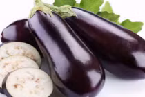 Cà tím biến đổi gene giúp nâng cao thu nhập và tiết kiệm chi phí