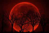  Sắp có siêu trăng trùng với nguyệt thực toàn phần