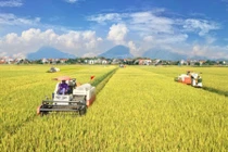 Trước ngày 31/12/2023, giải thể dứt điểm các hợp tác xã không còn hoạt động.