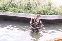 Lên chốn bồng lai… lai rai chuyện cá tầm