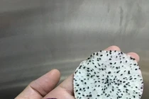 Công nghệ giữ hương vị tự nhiên cho trái cây sấy