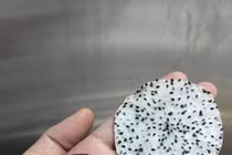 Công nghệ giữ hương vị tự nhiên cho trái cây sấy