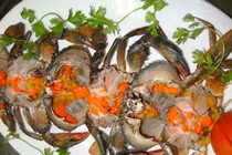 Canxi không bị rút từ xương?