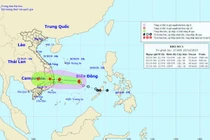 Bão số 5 giật cấp 10, vào đất liền các tỉnh từ Bình Định đến Ninh Thuận