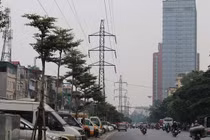 Hà Nội "xin" trồng 600.000 cây xanh không qua đấu thầu