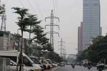 Hà Nội "xin" trồng 600.000 cây xanh không qua đấu thầu