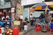 Rủi ro từ nạn "bức tử" cây xanh