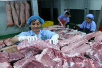  Yếu tố khiến giá thịt lợn vẫn cao