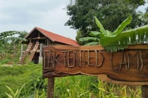 Lak Tented Camp: Resort sang xịn mịn nhất Tây Nguyên.