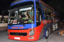 Ninh Bình: Bắt vụ vận chuyển 36 cá thể tê tê