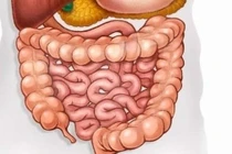 Hội chứng ruột kích thích ở người cao tuổi