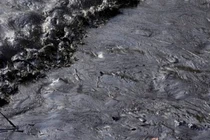 tràn dầu tại peru