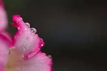 Khai thác thời tiết nóng ẩm để tạo tài nguyên 