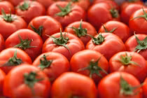 Cà chua chỉnh sửa gen CRISPR đầu tiên trên thế giới chính thức thương mại hoá