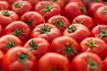 Cà chua chỉnh sửa gen CRISPR đầu tiên trên thế giới chính thức thương mại hoá