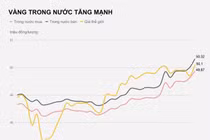 Vàng lập đỉnh mọi thời đại, hơn 50,3 triệu đồng/lượng