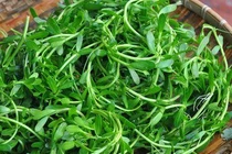 Món ăn phòng trị sỏi mật 