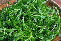 Món ăn phòng trị sỏi mật 