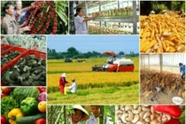 Nông nghiệp vẫn sẽ là trụ đỡ của nền kinh tế