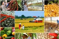Nông nghiệp vẫn sẽ là trụ đỡ của nền kinh tế