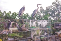 Hải Dương: Cán bộ, công chức, viên chức không được mua bán, tiêu thụ, tàng trữ động vật hoang dã