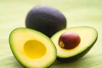 Bài thuốc trị tiểu đường từ quả bơ