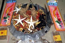 Thận trọng khi sử dụng thần dược “nhất dạ lục giao sinh ngũ tử”