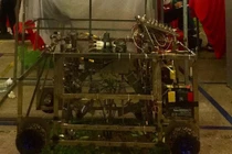 Máy đảo gốc, chăm sóc và tạo tán cho cây quất cảnh