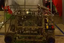 Máy đảo gốc, chăm sóc và tạo tán cho cây quất cảnh