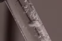 Các hạt nano nhôm sản xuất hydro nhanh chóng, hiệu quả từ nước