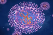 Virus đậu mùa khỉ đột biến thấp