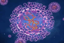 Virus đậu mùa khỉ đột biến thấp