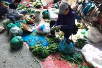 Dễ rước họa vì ăn rau sống không rõ nguồn gốc