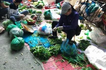 Dễ rước họa vì ăn rau sống không rõ nguồn gốc