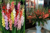 Giữ hoa tươi lâu