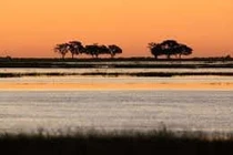 7,7 tỷ người có chung tổ tiên