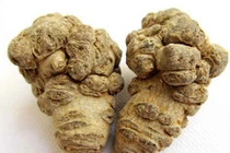 Người khỏe có nên dùng tam thất?