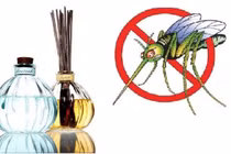 Ngăn muỗi trở lại